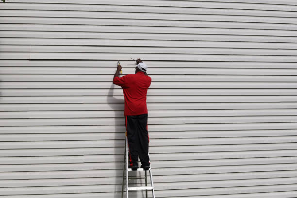 Best Steel Siding Installation  in Pine Level, AL